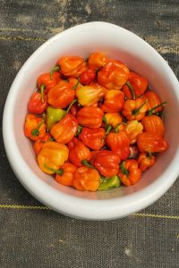 50 habaneros